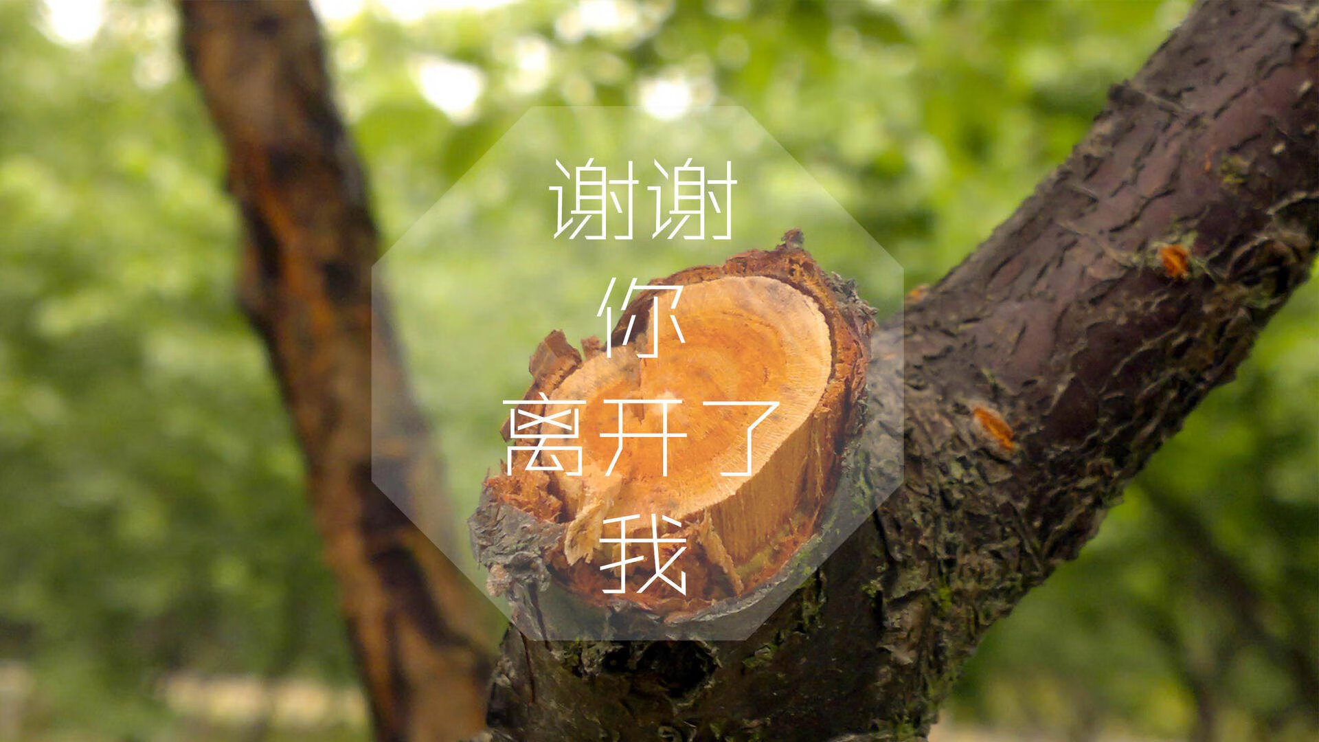 韩国星际争霸赛季冠军争夺激烈，韩国星际争霸历届总决赛视频
