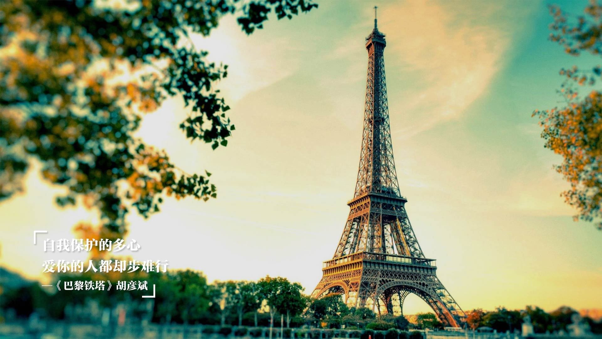 哪支橄榄球队拥有最多关注度？，橄榄球队人数最多