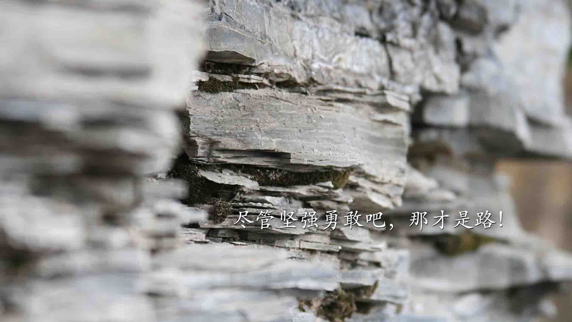 爱游戏官方网站-技术动作数据优化与选手表现提升，技术动作是什么