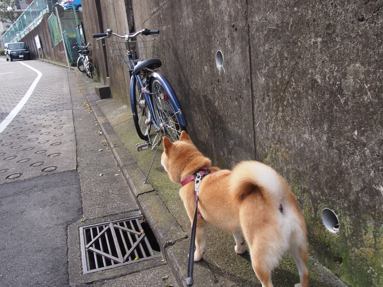 技术动作数据优化与选手表现提升，技术动作是什么