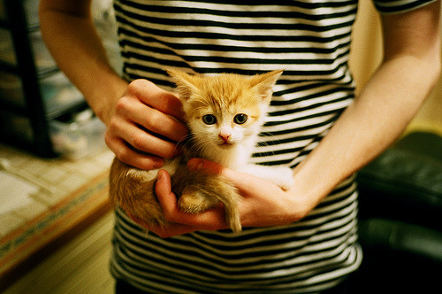 英超数据库管理与分析工具升级,英超联赛数据统计